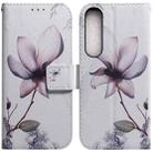 For Sony Xperia 1 IV 2023 Coloured Drawing Flip Leather Phone Case(Magnolia) - 1