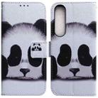 For Sony Xperia 1 IV 2023 Coloured Drawing Flip Leather Phone Case(Panda) - 1