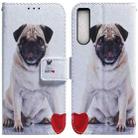 For Sony Xperia 10 IV 2023 Coloured Drawing Flip Leather Phone Case(Pug) - 1