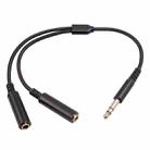 3718 6.35mm Male to Dual Female 1/4 TRS Stereo Audio Cable, Length: 30cm - 1