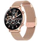 HT12 1.32 inch Steel Band IP67 Waterproof Smart Watch, Support Bluetooth Calling / Sleep Monitoring(Rose Gold) - 1