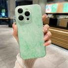 For iPhone 14 Pro Silk Ink Pattern PC Phone Case(Green) - 1