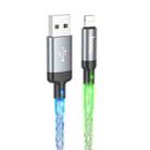 hoco U112 2.4A USB to 8 Pin Luminous Data Cable, Length: 1m(Grey) - 1