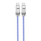 hoco U113 100W USB-C/Type-C to USB-C/Type-C Silicone Data Cable, Length: 1m(Blue) - 1