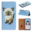 For Huawei nova 6 3D Painting Horizontal Flip Leather Case with Holder & Card Slot & Lanyard(Cat) - 1