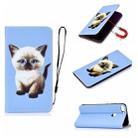 For Huawei Enjoy 7s 3D Painting Horizontal Flip Leather Case with Holder & Card Slot & Lanyard(Cat) - 1