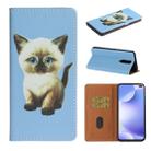 For Xiaomi Redmi K30 Pure Color Painting Horizontal Flip Leather Case with Card Slots & Holder & Lanyard(Cat) - 1