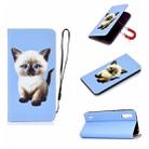 For Xiaomi Mi CC9 Pure Color Painting Horizontal Flip Leather Case with Card Slots & Holder & Lanyard(Cat) - 1