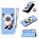 For Xiaomi Redmi 7 Pure Color Painting Horizontal Flip Leather Case with Card Slots & Holder & Lanyard(Cat) - 1