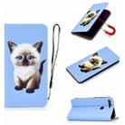 For Xiaomi Mi 8 Lite Pure Color Painting Horizontal Flip Leather Case with Card Slots & Holder & Lanyard(Cat) - 1