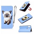 For Xiaomi Redmi Note 6 Pure Color Painting Horizontal Flip Leather Case with Card Slots & Holder & Lanyard(Cat) - 1