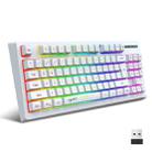 HXSJ L100 87 Keys RGB Backlit Film 2.4G Wireless Keyboard(White) - 1