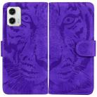 For Motorola Moto G73 Tiger Embossing Pattern Leather Phone Case(Purple) - 1