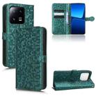 For Xiaomi 13 Honeycomb Dot Texture Leather Phone Case(Green) - 1