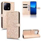 For Xiaomi 13 Pro Honeycomb Dot Texture Leather Phone Case(Gold) - 1