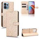 For Motorola Moto X40 Pro Honeycomb Dot Texture Leather Phone Case(Gold) - 1