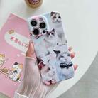 For iPhone 14 PC Phone Case(White Cat) - 1