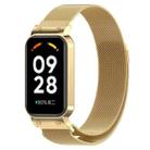 For Redmi Band 2 2 in 1 Milan Metal Watch Band(Gold) - 1