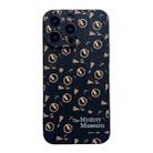 For iPhone 11 Pro Liquid Silicone Straight Edge Phone Case(Cats) - 1