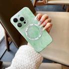 For iPhone 12 Pro Max Silk Ink Pattern MagSafe PC Phone Case(Green) - 1
