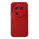 For OPPO Find X6 Pro Crocodile Texture Genuine Leather Phone Case(Red) - 1