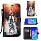 For Huawei P40 Lite E / Y7P Painting Horizontal Flip Leather Case with Holder & Card Slot & Wallet & Lanyard(Cat and Tiger) - 1