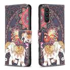 For Samsung Galaxy A24 4G Colored Drawing Leather Phone Case(Flowers Elephant) - 1