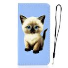 For iPhone 7 Plus 3D Painting Horizontal Flip Leather Case with Holder & Card Slot & Wallet & Lanyard(Cat) - 2