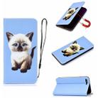 For iPhone SE 2022 / SE 2020 / 7 / 8  3D Painting Horizontal Flip Leather Case with Holder & Card Slot & Wallet & Lanyard(Cat) - 1