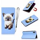 For iPhone XS 3D Painting Horizontal Flip Leather Case with Holder & Card Slot & Wallet & Lanyard(Cat) - 1