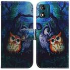 For Motorola Moto E13 Coloured Drawing Flip Leather Phone Case(Oil Painting Owl) - 1