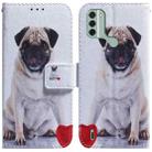 For Nokia C31 Coloured Drawing Flip Leather Phone Case(Pug) - 1