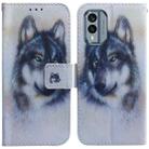 For Nokia X30 Coloured Drawing Flip Leather Phone Case(White Wolf) - 1