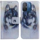 For Xiaomi Redmi 12C / 11A Coloured Drawing Flip Leather Phone Case(White Wolf) - 1