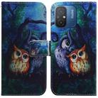 For Xiaomi Redmi 12C / 11A Coloured Drawing Flip Leather Phone Case(Oil Painting Owl) - 1