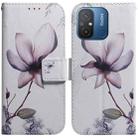 For Xiaomi Redmi 12C / 11A Coloured Drawing Flip Leather Phone Case(Magnolia) - 1