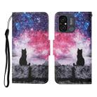 For Xiaomi Redmi 12C Colored Drawing Pattern Flip Leather Phone Case(Star Sky Cat) - 1