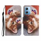 For Xiaomi Redmi Note 12 5G Global/Poco X5 Colored Drawing Pattern Flip Leather Phone Case(Butterfly Cat) - 1