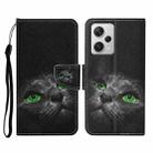 For Xiaomi Redmi Note 12 Pro 5G/Poco X5 Pro Colored Drawing Pattern Flip Leather Phone Case(Black Cat) - 1