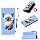For Galaxy A70 3D Painting Horizontal Flip Leather Case with Holder & Card Slot & Wallet & Lanyard(Cat) - 1