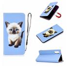 For Galaxy Note 10 3D Painting Horizontal Flip Leather Case with Holder & Card Slot & Wallet & Lanyard(Cat) - 1