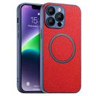 For iPhone 11 Pro Skin Feel Litchi Texture MagSafe Magnetic Phone Case(Red) - 1