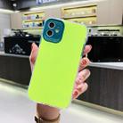 For iPhone 11 Fine Hole Series TPU + Acrylic Anti-fall Mirror Phone Protective Case(Fluorescent Green) - 1