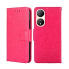 For vivo Y100 5G Crystal Texture Leather Phone Case(Rose Red) - 1