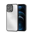 For iPhone 12 Pro Max DUX DUCIS Aimo Series  Frosted Feel Phone Case(Black) - 1