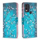 For Nokia C22 Colored Drawing Pattern Leather Phone Case(Plum Blossom) - 1