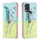 For Nokia C22 Colored Drawing Pattern Leather Phone Case(Feather) - 1