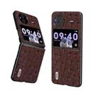 For vivo X Flip Genuine Leather Ostrich Texture Phone Case(Coffee) - 1