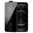 For iPhone 12 Pro WK WTP-067 King Kong Vacha 9D Curved Privacy Tempered Glass Film(Black) - 1