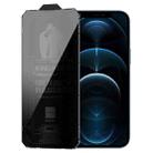 For iPhone 12 Pro Max WK WTP-067 King Kong Vacha 9D Curved Privacy Tempered Glass Film(Black) - 1